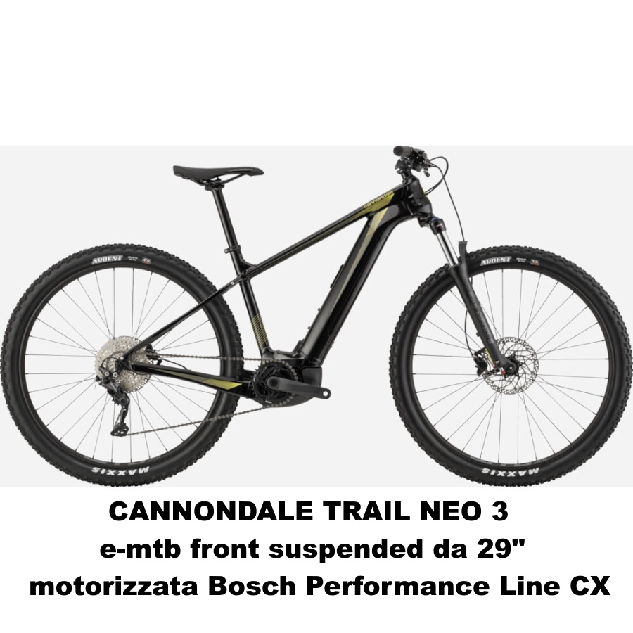 TMP BIKE RENT Cannondale Trail Neo 3